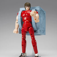 Saint Cloth Series: Pegasus Cloth [1st Bronze Cloth Box Limited Edition]
