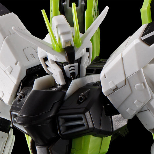 [Damaged Box] RG 1/144 Freedom Gundam -Apex Legends [Crypto Ver.] (P-Bandai)