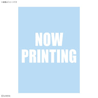 GUNDAM DECAL146 RG 1/144 AKATSUKI GUNDAM OOWASHI unit