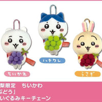Chiikawa: Local Limited Plush Keychain: Hachiware – three plush variants side by side with name tags