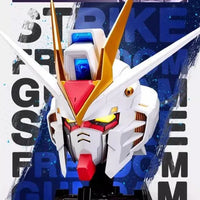 Bandai BN Head Collection Vol.2 ZGMF-X20A Strike Freedom Gundam (P-Bandai) - Kidultverse
