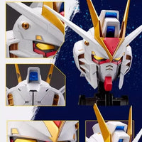 Bandai BN Head Collection Vol.2 ZGMF-X20A Strike Freedom Gundam (P-Bandai) - Kidultverse