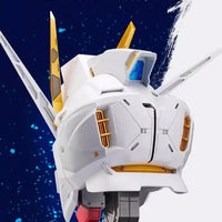 Bandai BN Head Collection Vol.2 ZGMF-X20A Strike Freedom Gundam (P-Bandai) - Kidultverse