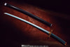 Bandai Demon Slayer: PROPLICA 1/1 Nichirin Sword [Muichiro Tokito] (P-Bandai) - Kidultverse