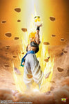 Bandai Figuarts Zero Dragon Ball Z [Super Fierce Battle] Super Saiyan Gogeta [Excluisve Edition] (P-Bandai) - Kidultverse