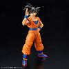 Bandai Figure-rise Standard Son Goku [NEW SPEC Ver.] - Kidultverse