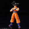 Bandai Figure-rise Standard Son Goku [NEW SPEC Ver.] - Kidultverse