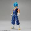 Bandai Figure-rise Standard Super Saiyan God Super Saiyan Vegetto - Kidultverse