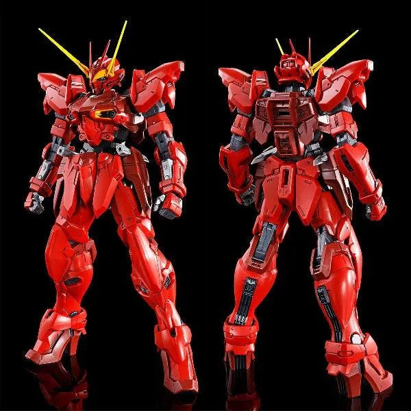 Bandai MG 1/100 RGX-00 Testament Gundam (P-Bandai) - Kidultverse