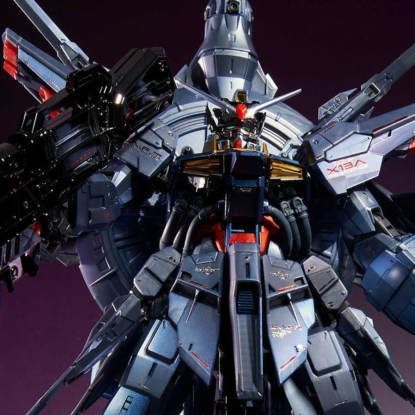 MG 1/100 ZGMF-X13A Providence Gundam [Special Coating] (P-Bandai