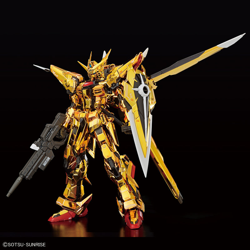 RG 1/144 The Gundam Base Limited Akatsuki Gundam Oowashi Unit & HG Zeus Silhouette + Custom Joint Parts Set