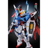 Bandai RG 1/144 ZGMF-X42S Destiny Gundam [Titanium Finish] (P-Bandai) - Kidultverse