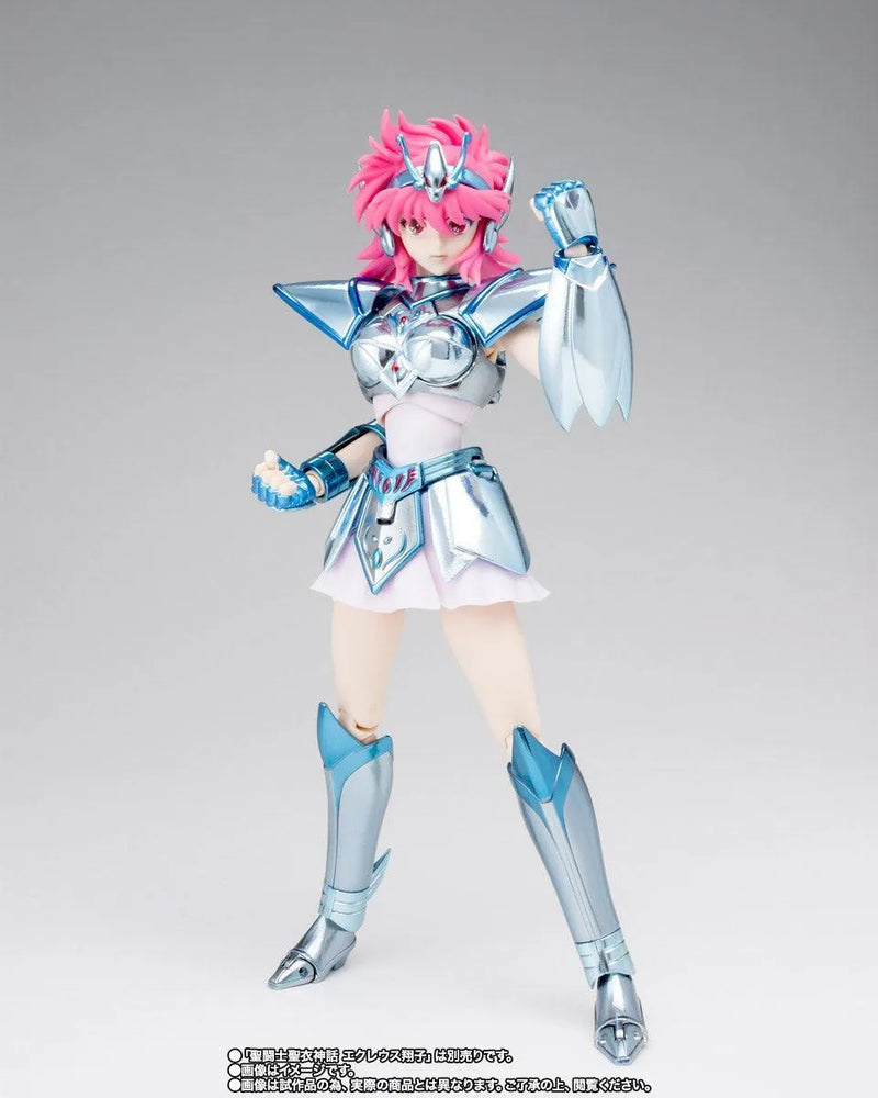 Bandai Saint Cloth Myth Saintia Sho Equuleus Kyoko & Equuleus Shoko Power Up Cloth parts (Saint Seiya) - Kidultverse