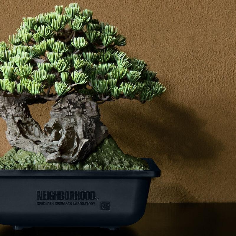 Bandai SRL X Bandai Spirits. Bonsai Model Kit (P-Bandai) - Kidultverse