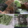 Bandai SRL X Bandai Spirits. Bonsai Model Kit (P-Bandai) - Kidultverse