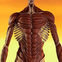 Good Smile Company POP UP PARADE Armin Arlert: Colossus Titan Ver. L - Kidultverse