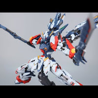 CangDao Model 1/100 CD-TG01 Tianwei [Metal Frame]